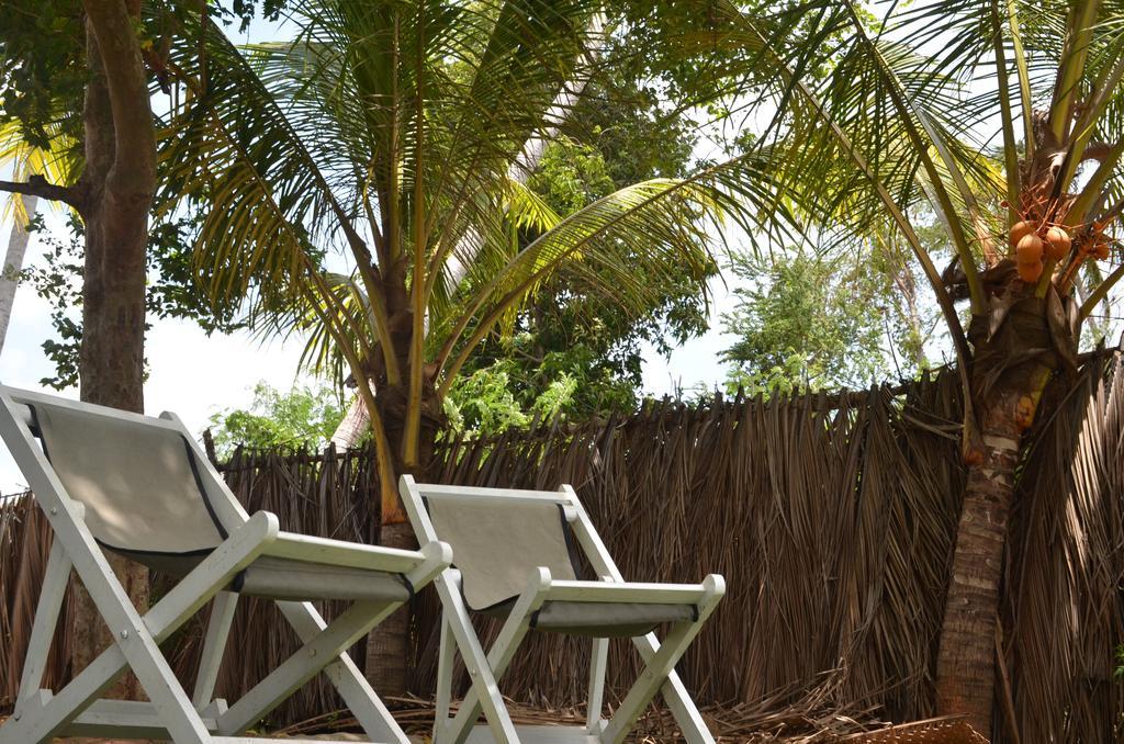 טיסמהרמה Yaye Guest House מראה חיצוני תמונה
