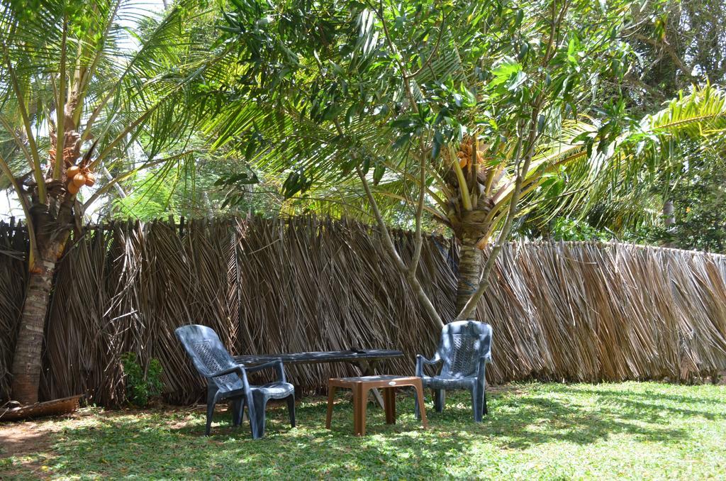 טיסמהרמה Yaye Guest House מראה חיצוני תמונה